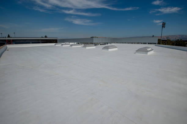 Best Cold Roofs  in Rosemount, OH