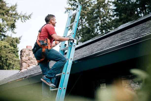 Best Roof Leak Repair  in Rosemount, OH